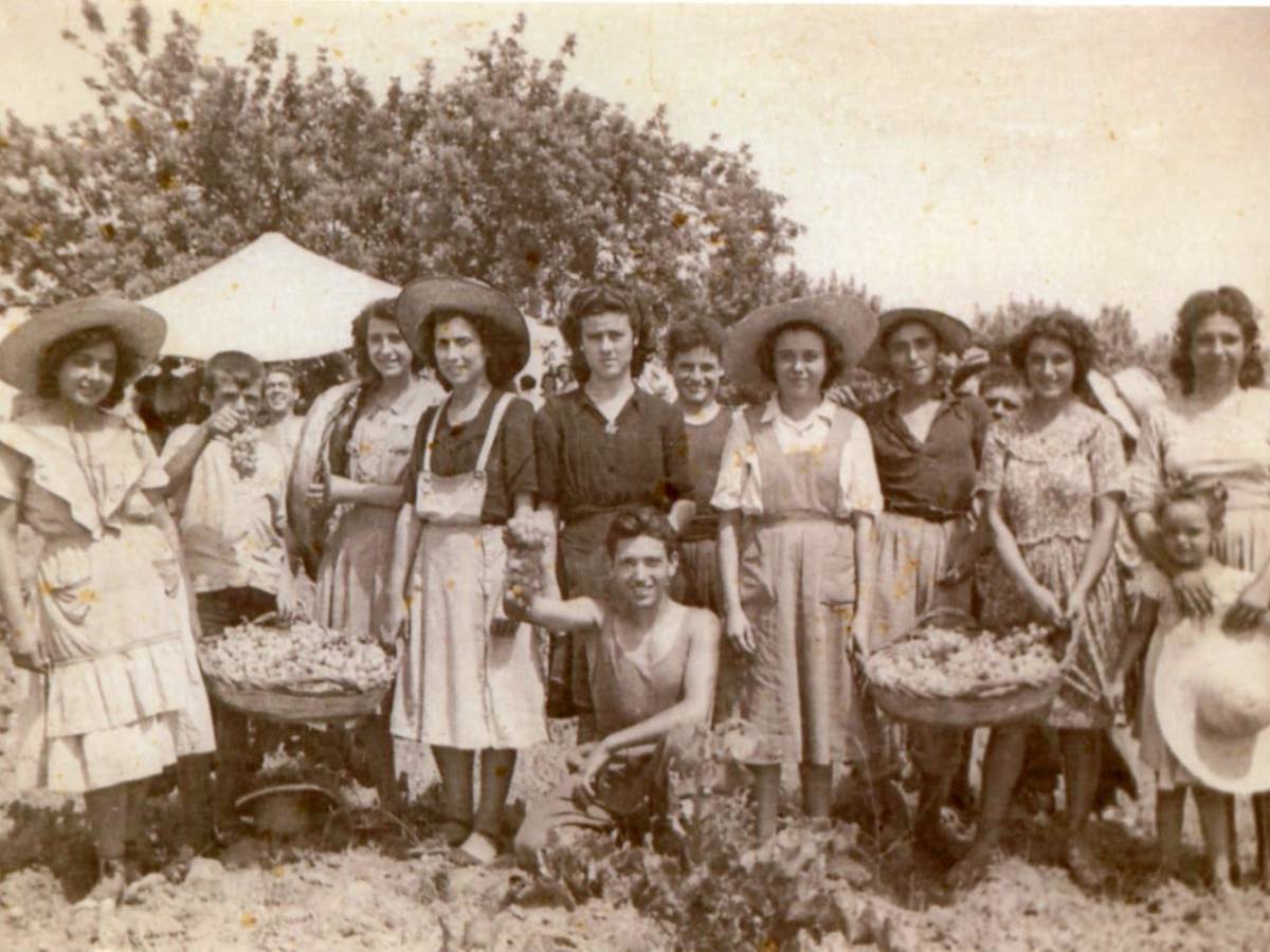 El Moscatel de Benicasim